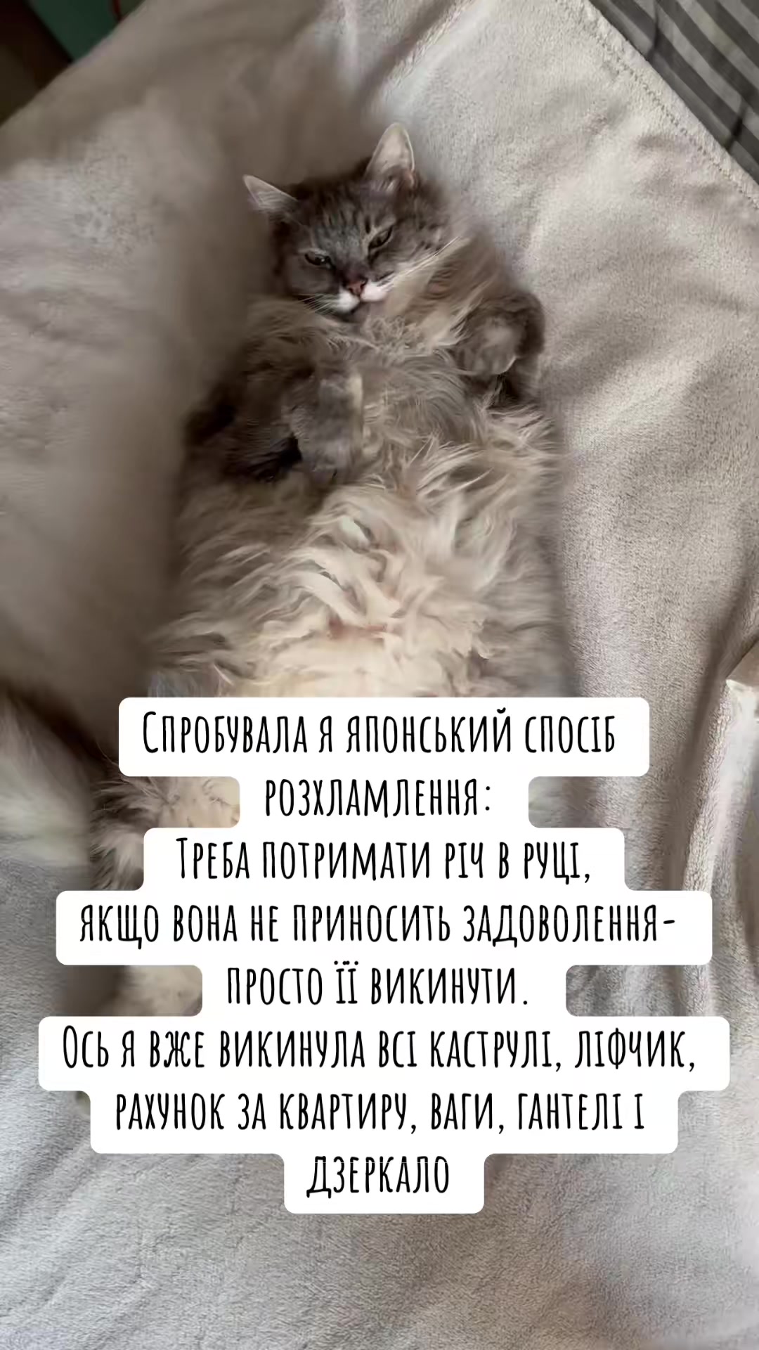 @timka.kit