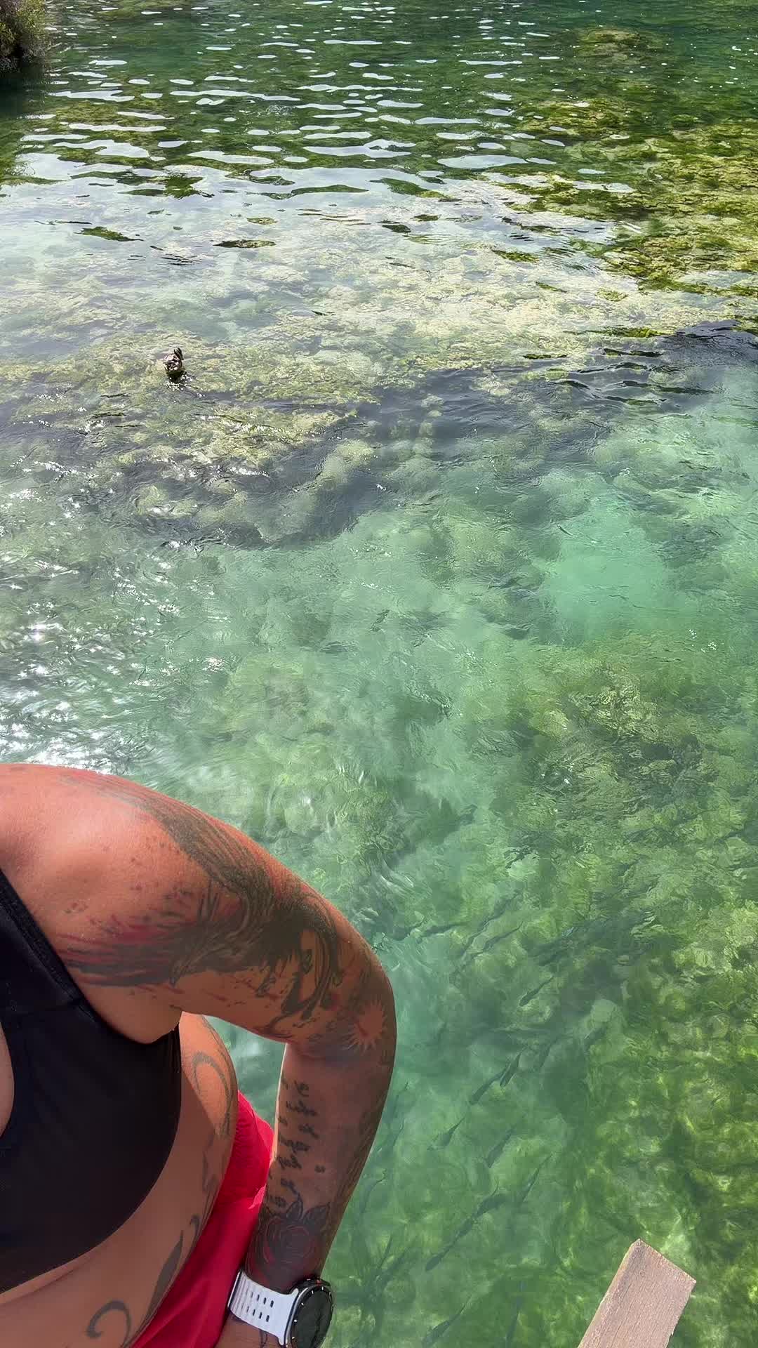 @LIKEAFENIXX