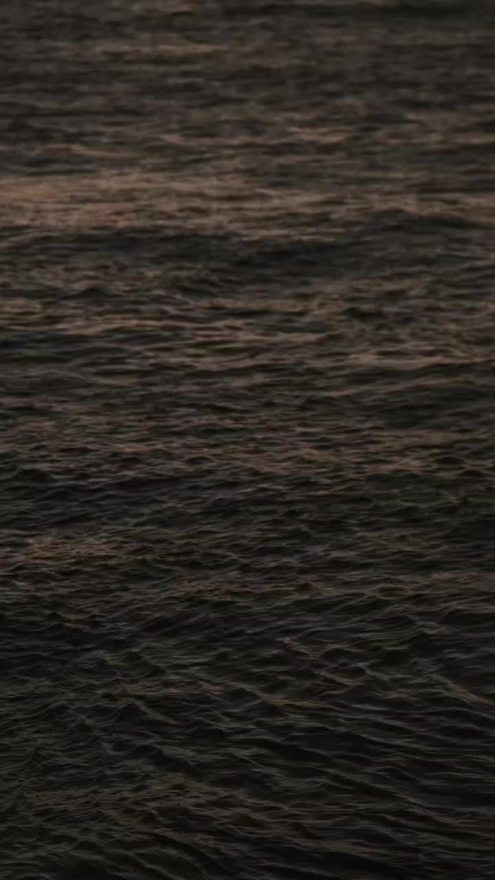 @Kojot