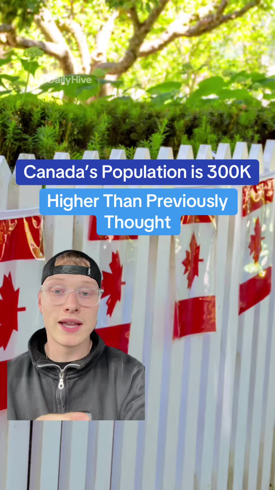 @dailyhivecanada