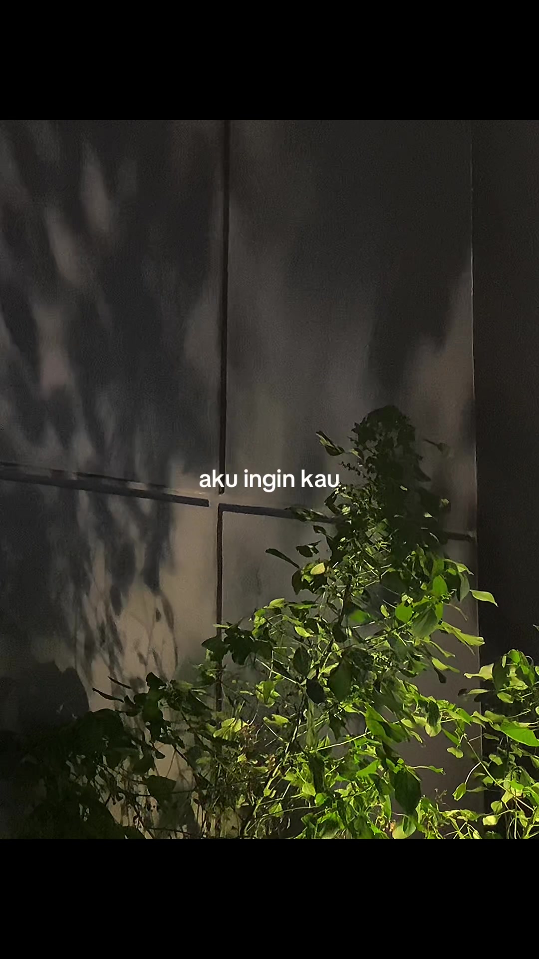 @๐ฟ๐ข๐จ