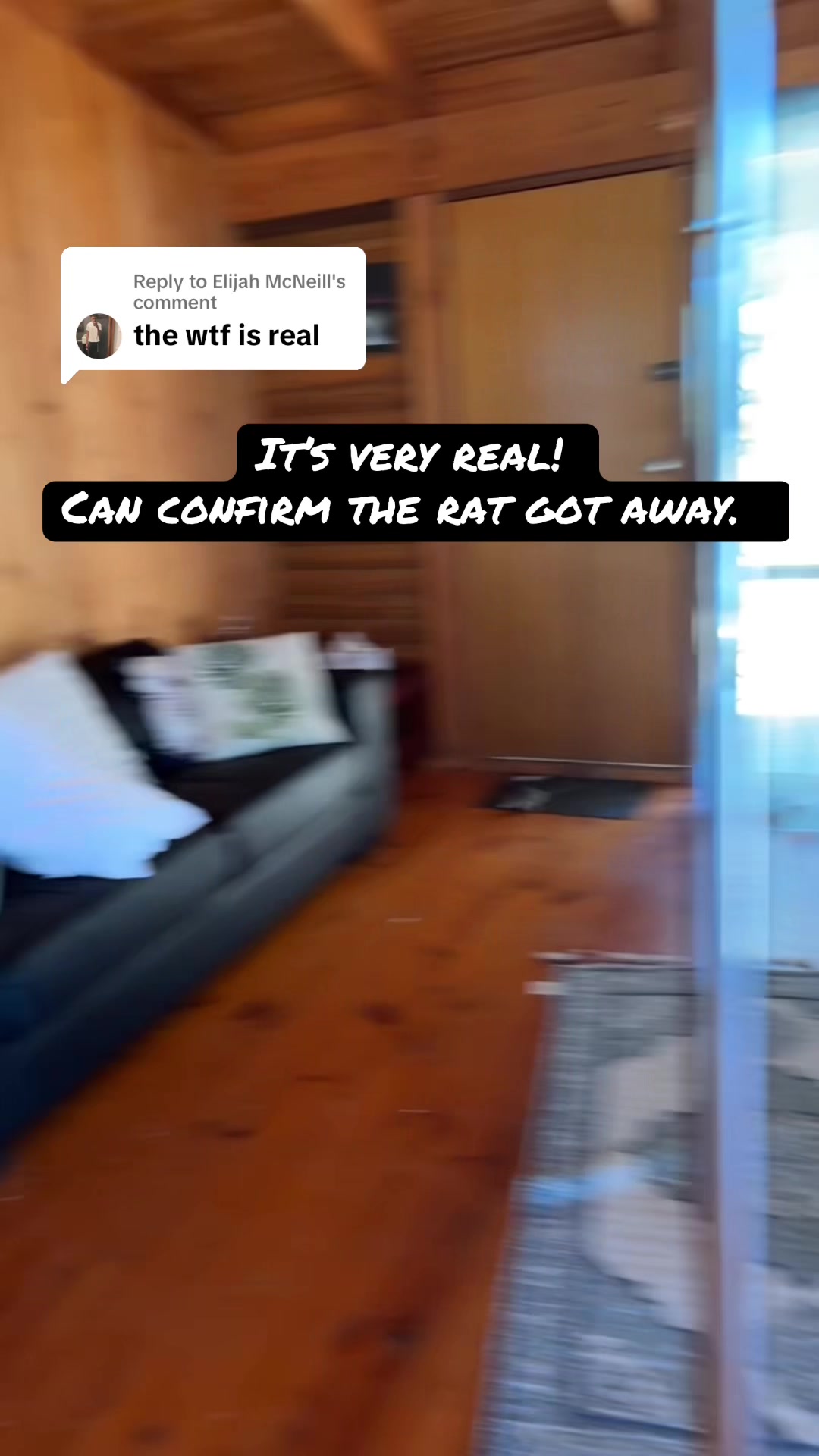 @itsvictoria