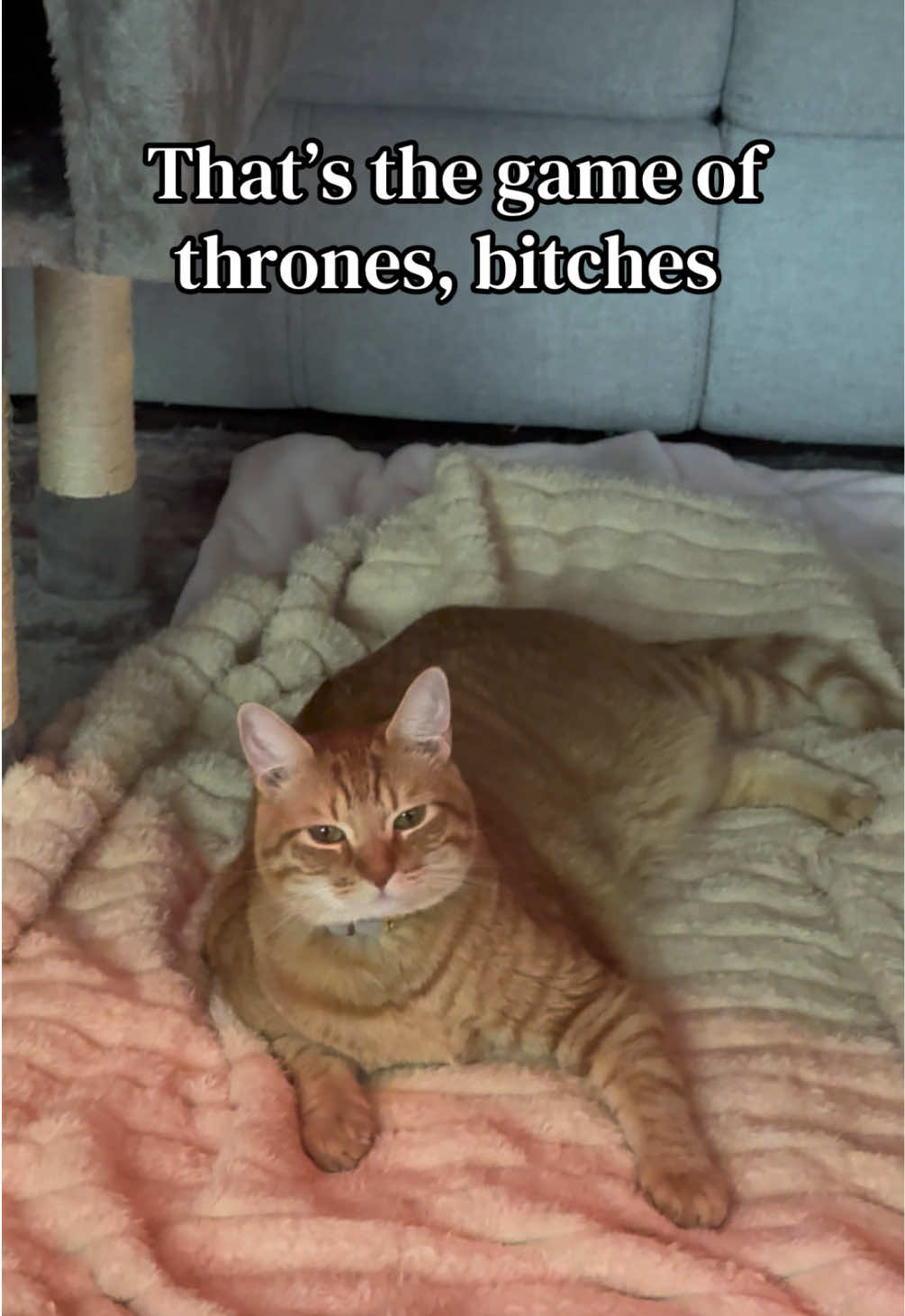@Luke & Leia Catwalker