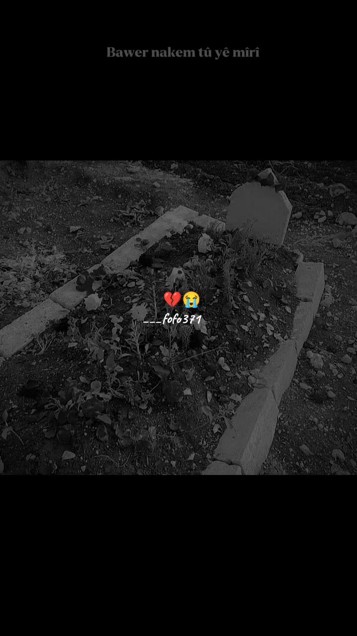 @فـ❣ـہوُفـ❣ـہوُ || ℱ𝒪 ℱ𝒪🤍