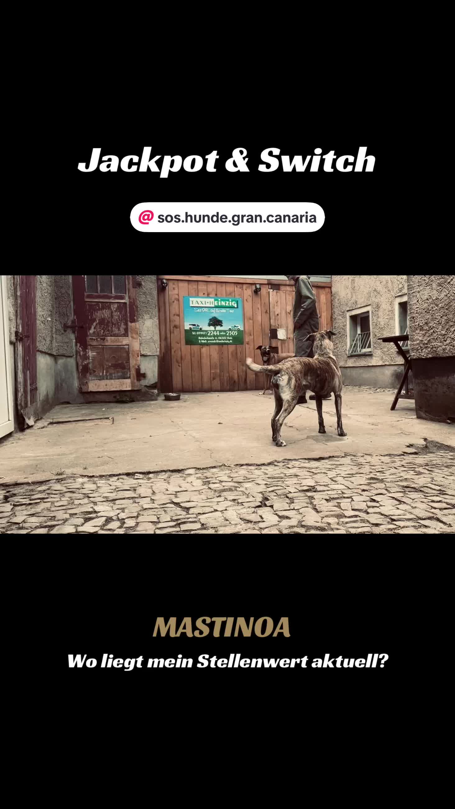 @MASTINOA pro