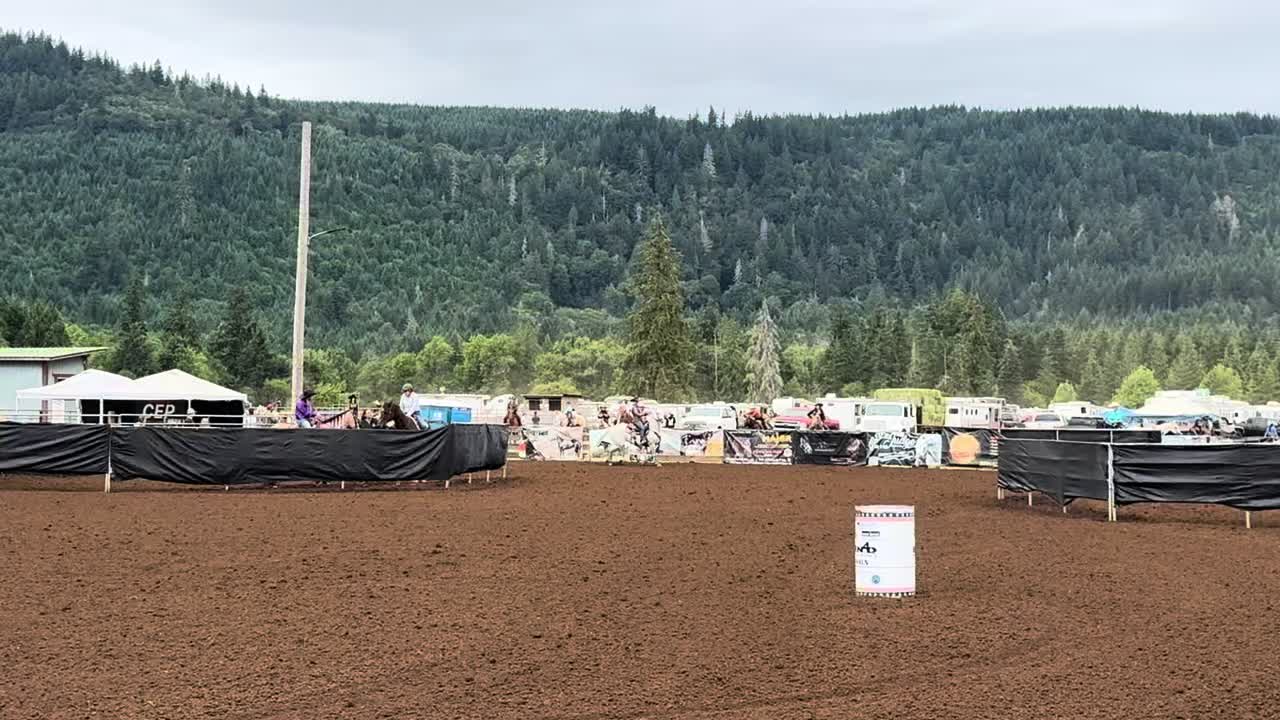 @TF Performance Horses