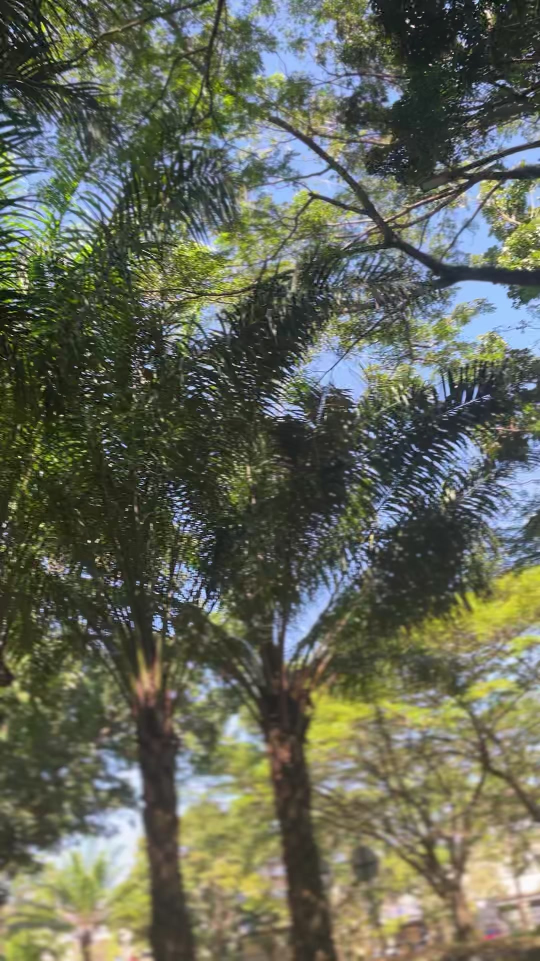 @MasFerixk🇻🇳