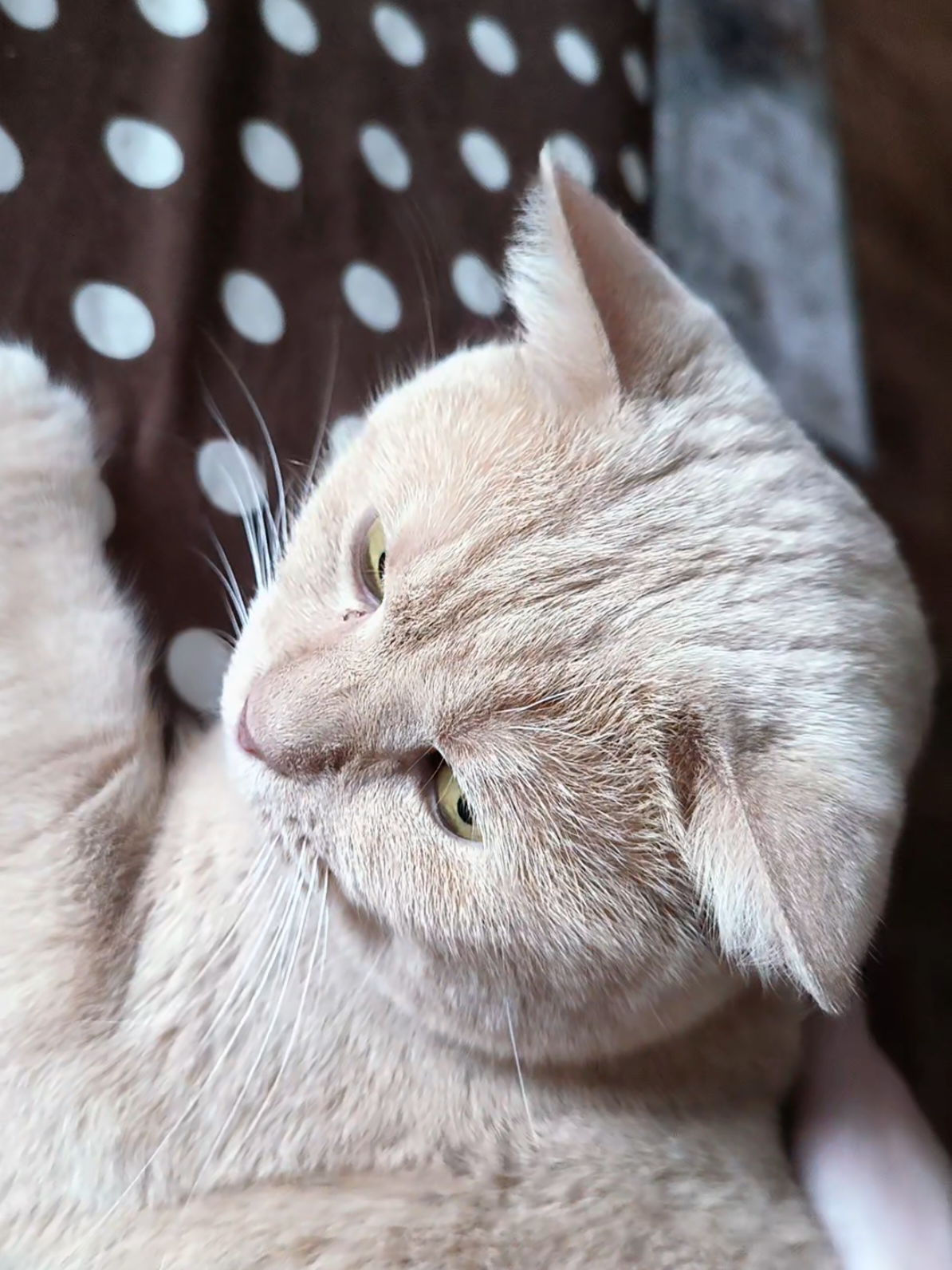 @Эльга