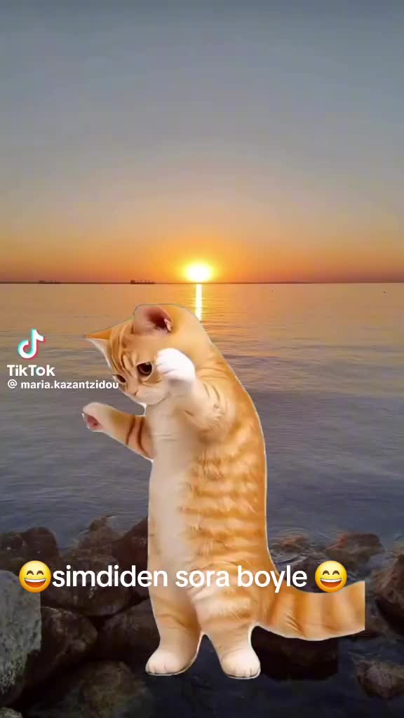 @🇧🇬YASAR 🇧🇬