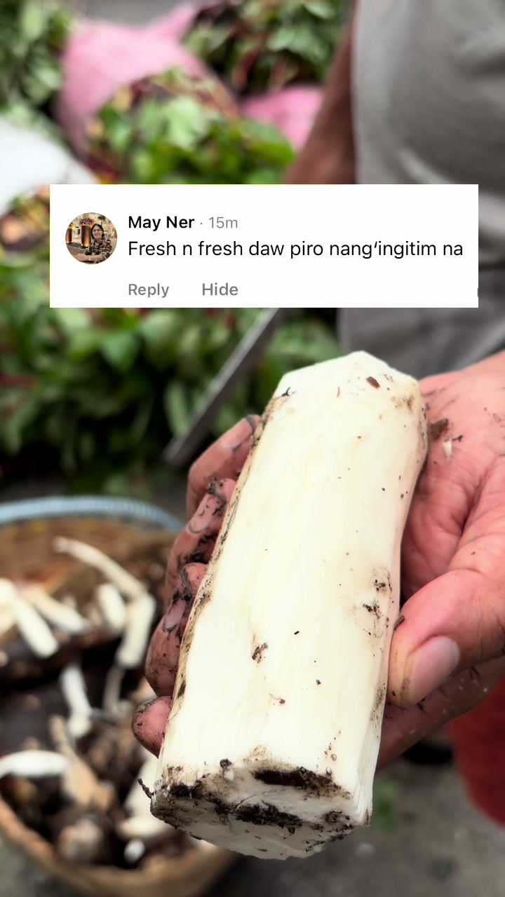 @Joe-Mar P. Olayer