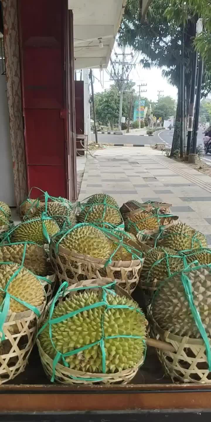 @Kenzhi Durian Tuban