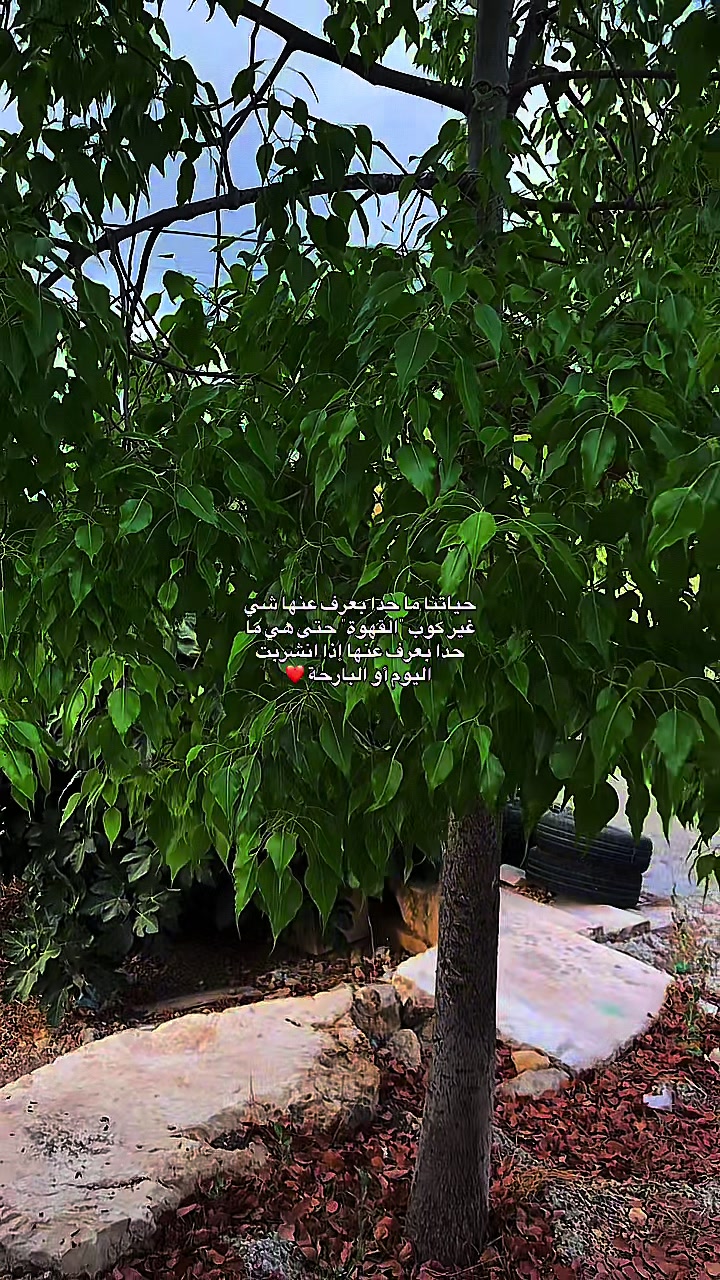@شَغّفْ🍂🤎