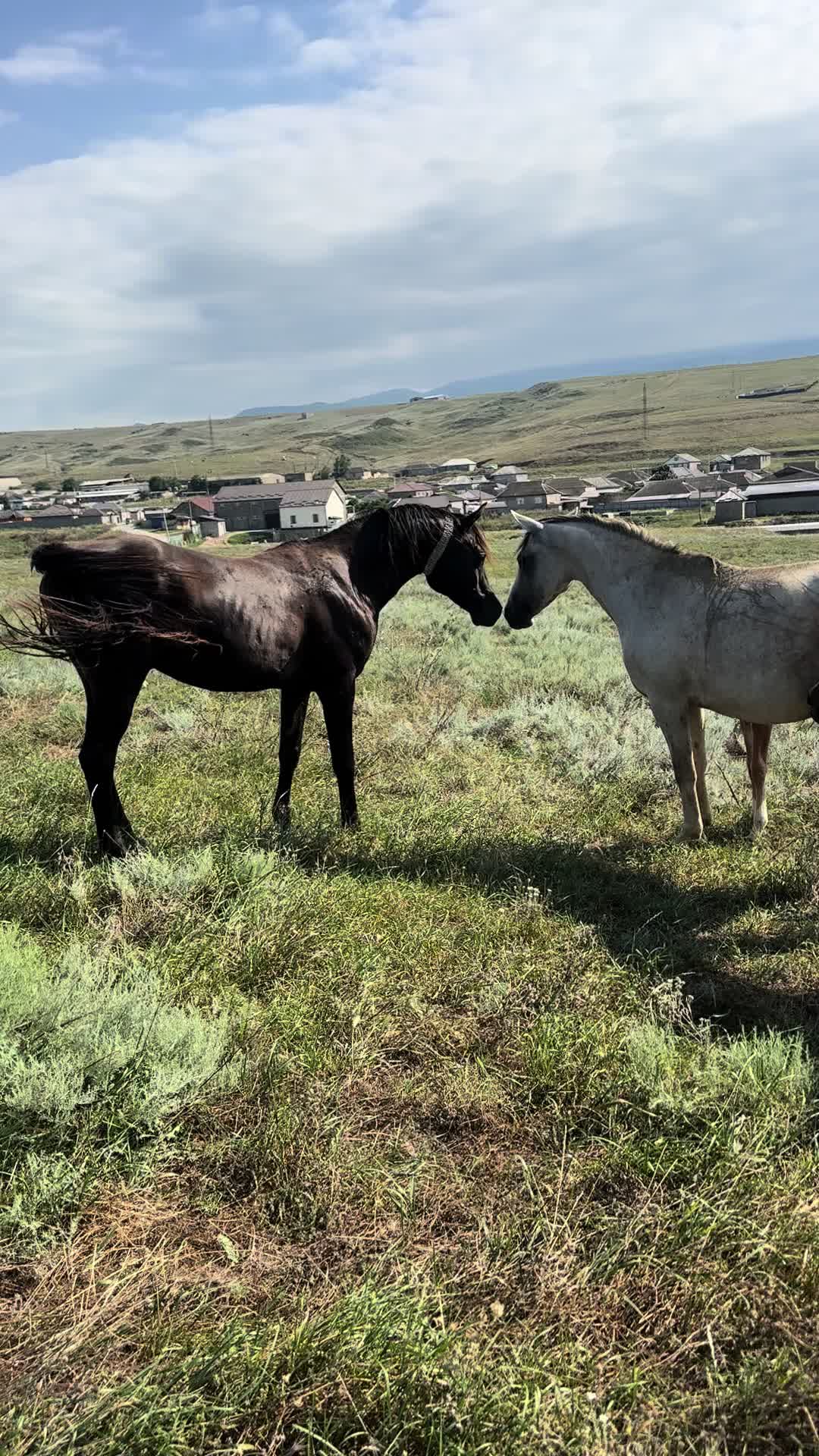 @MakvinStud