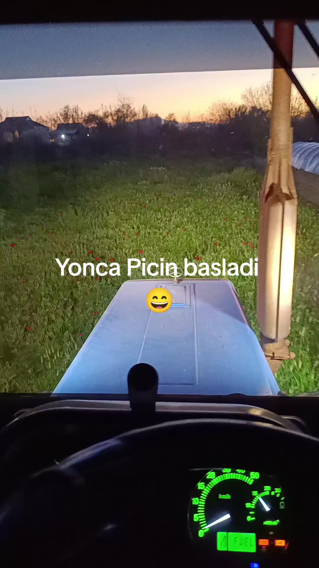 @⚜️ SARİF . MƏMMƏDOV ⚜️