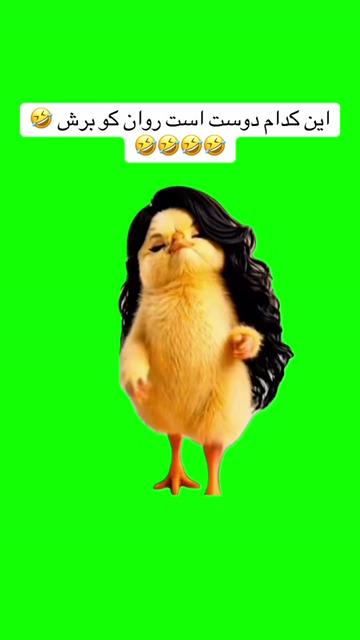 @nargisjan002