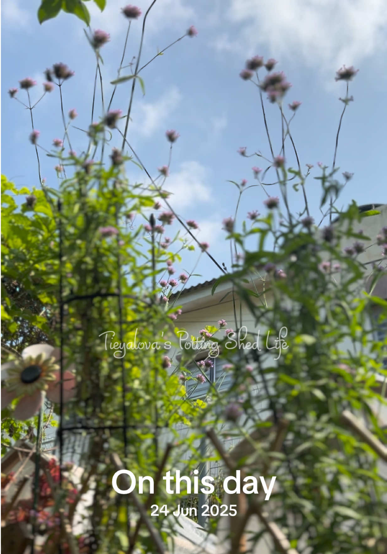 @Tieyalova’s Potting Shed