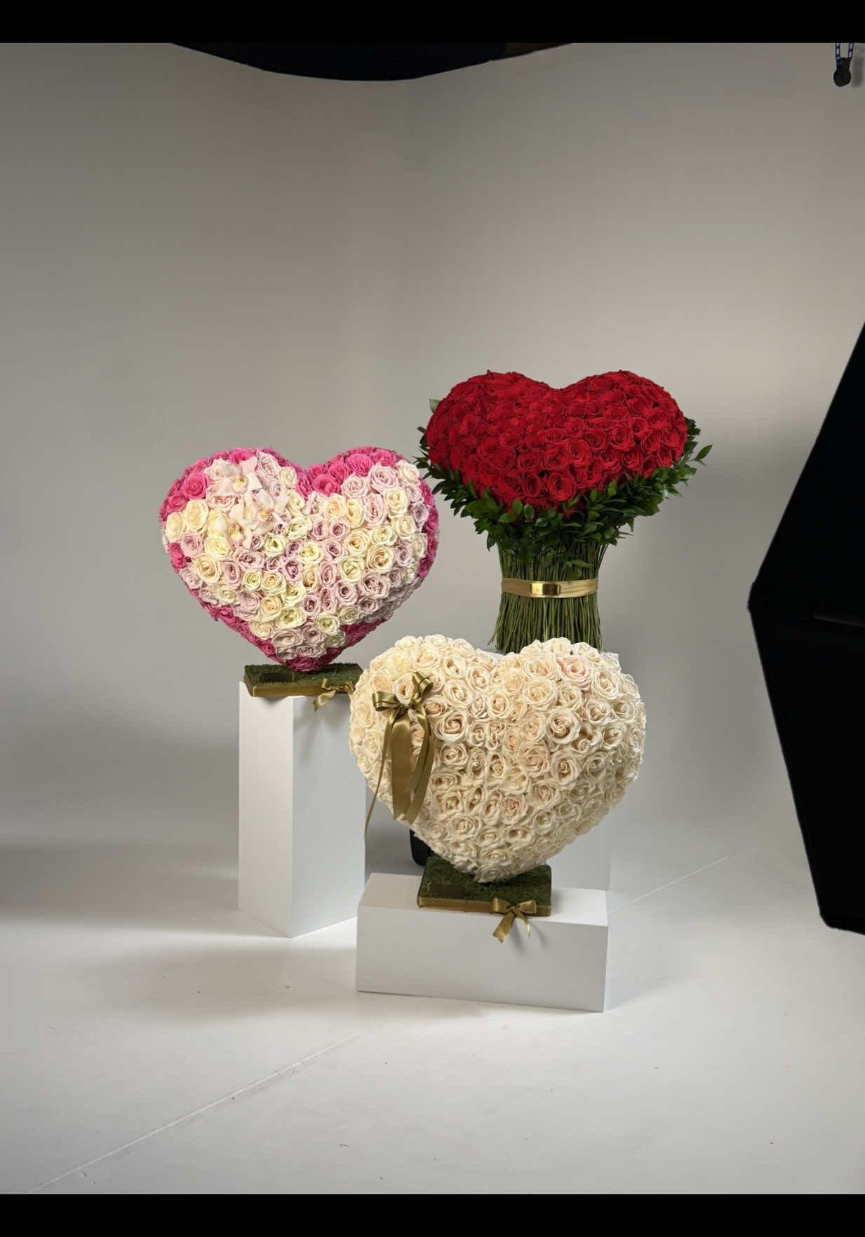 @Bloom And Box