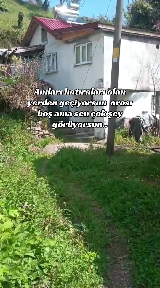 @sinem 🧚🏼♀️