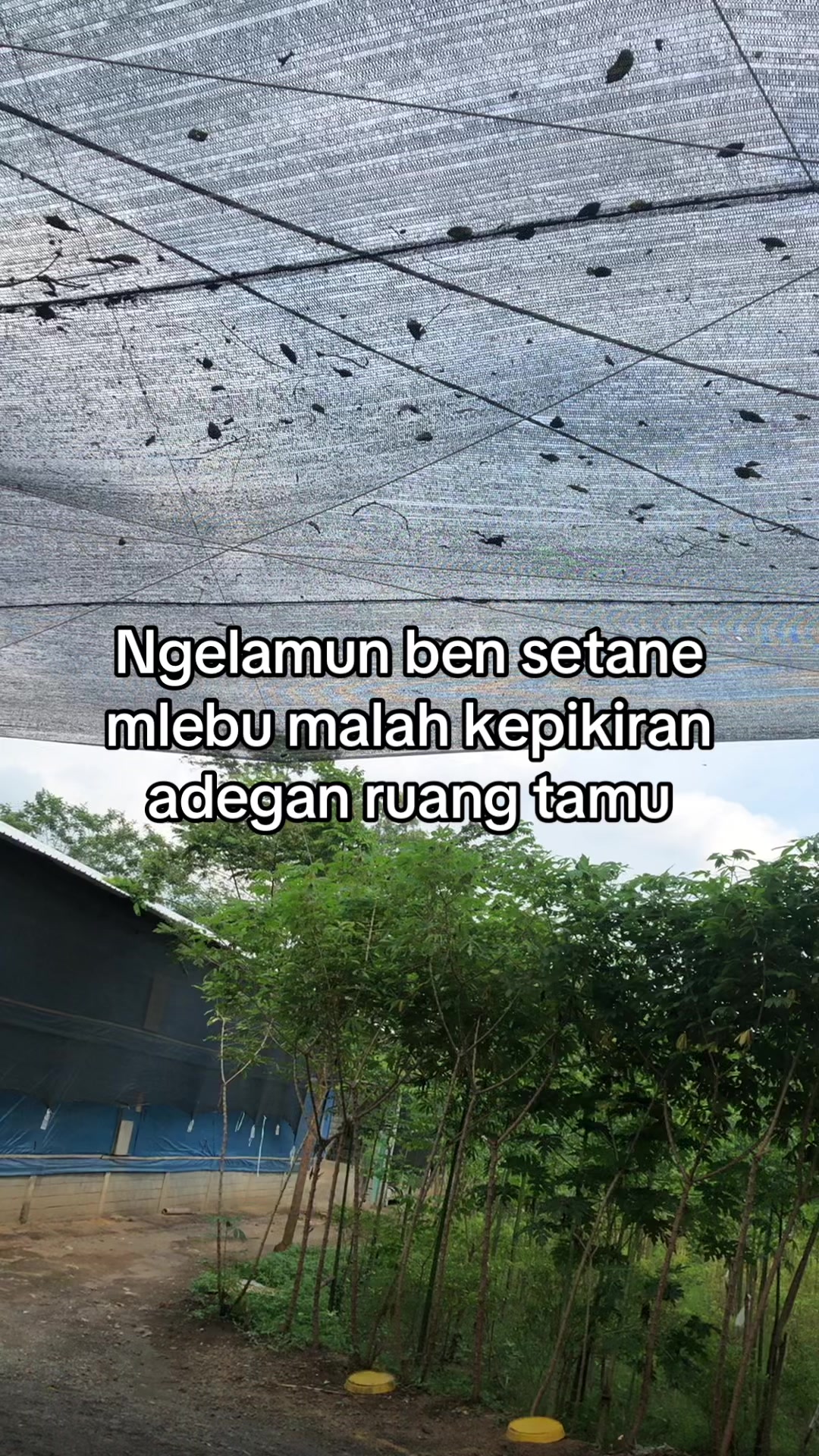 @𝕯𝖔𝖓🦅
