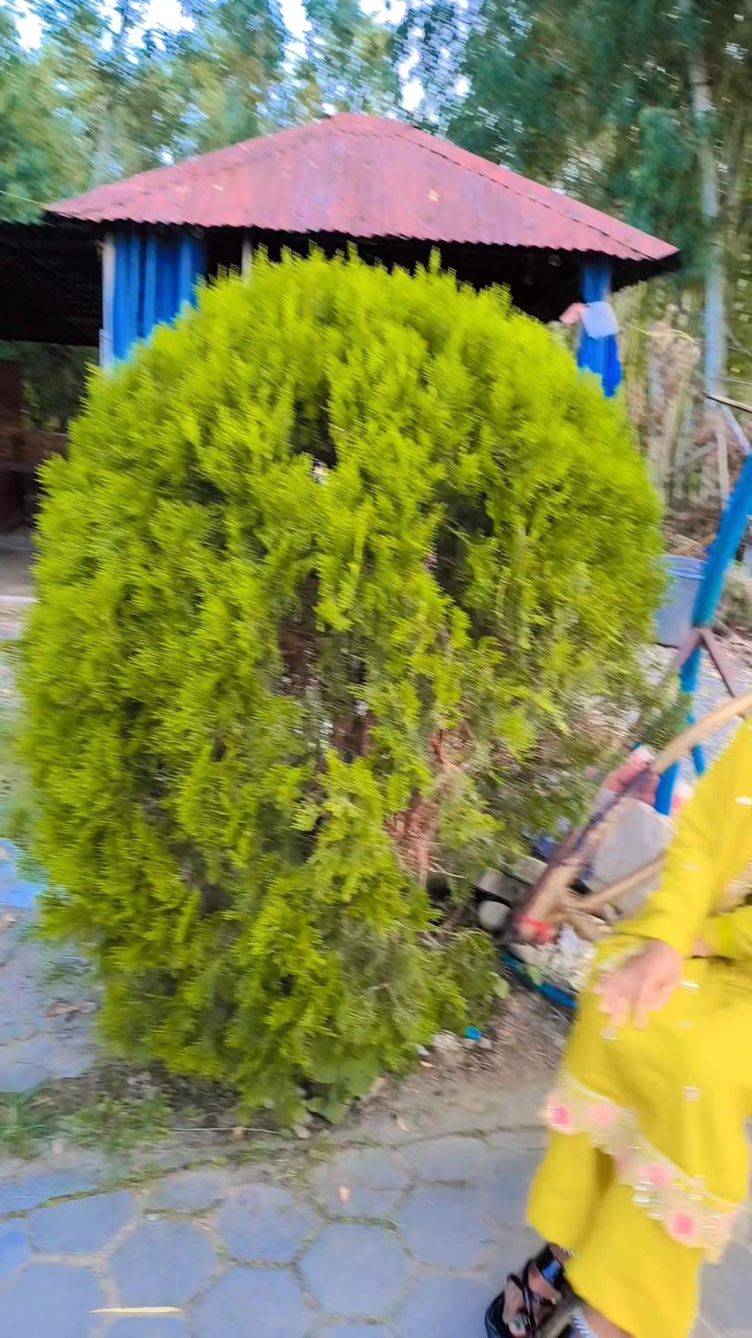 @🫶-_-सती_-_🫶$🫶--_दुर्गा.❣️❣️