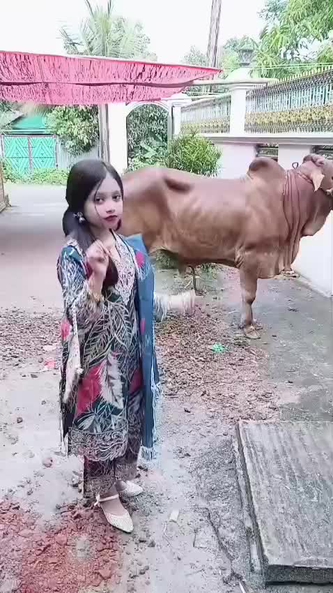 @TS মায়াজাল