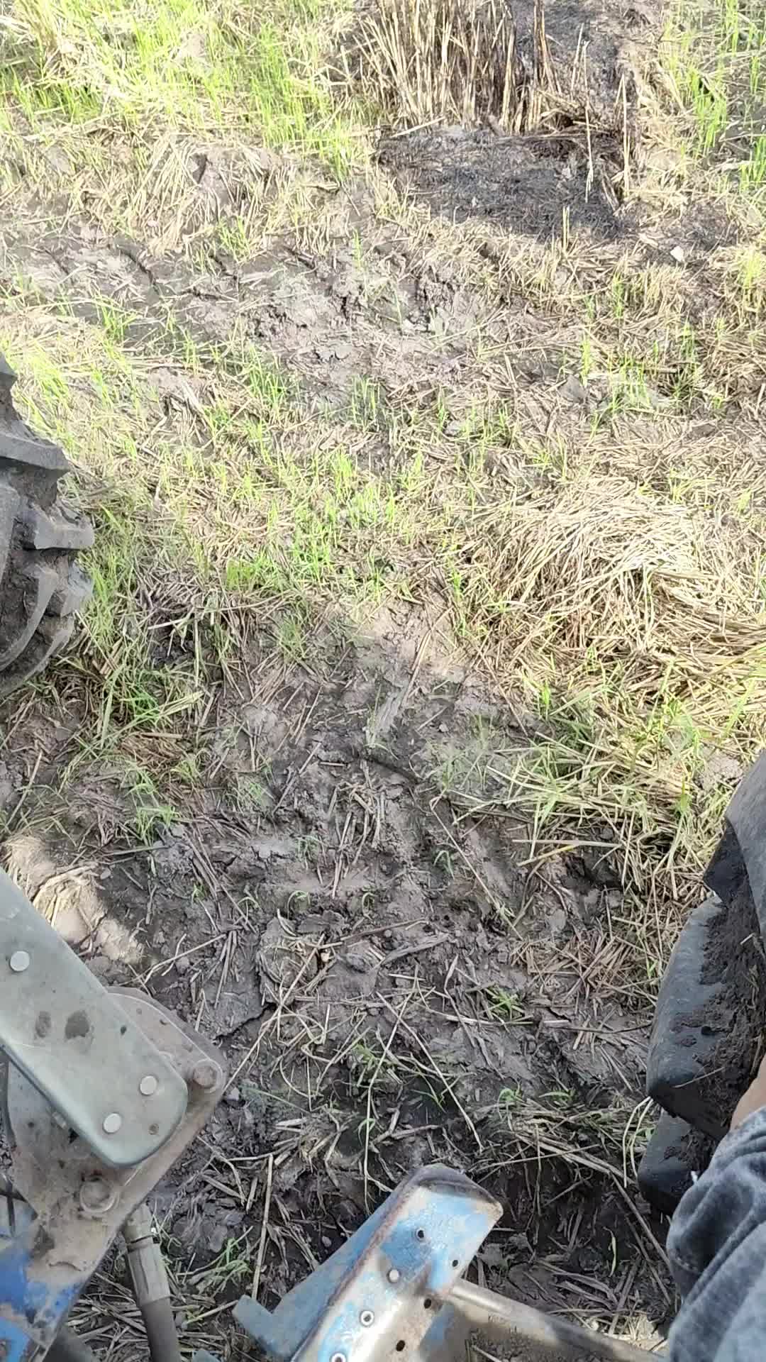 @Minh Hiếu 70 🚜🚜