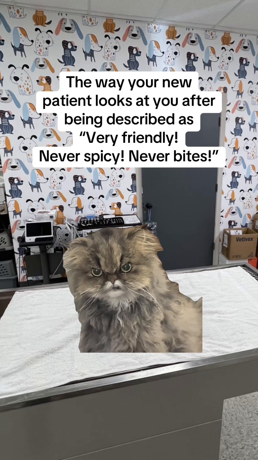 @Snodgrass Vet