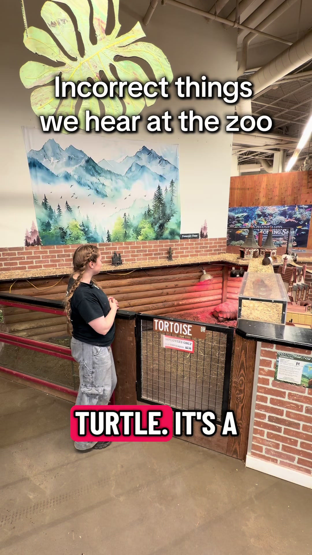 @d_gatorboy