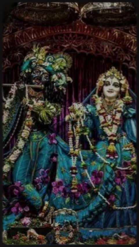 @☘️🪷Anamika 🪷☘️