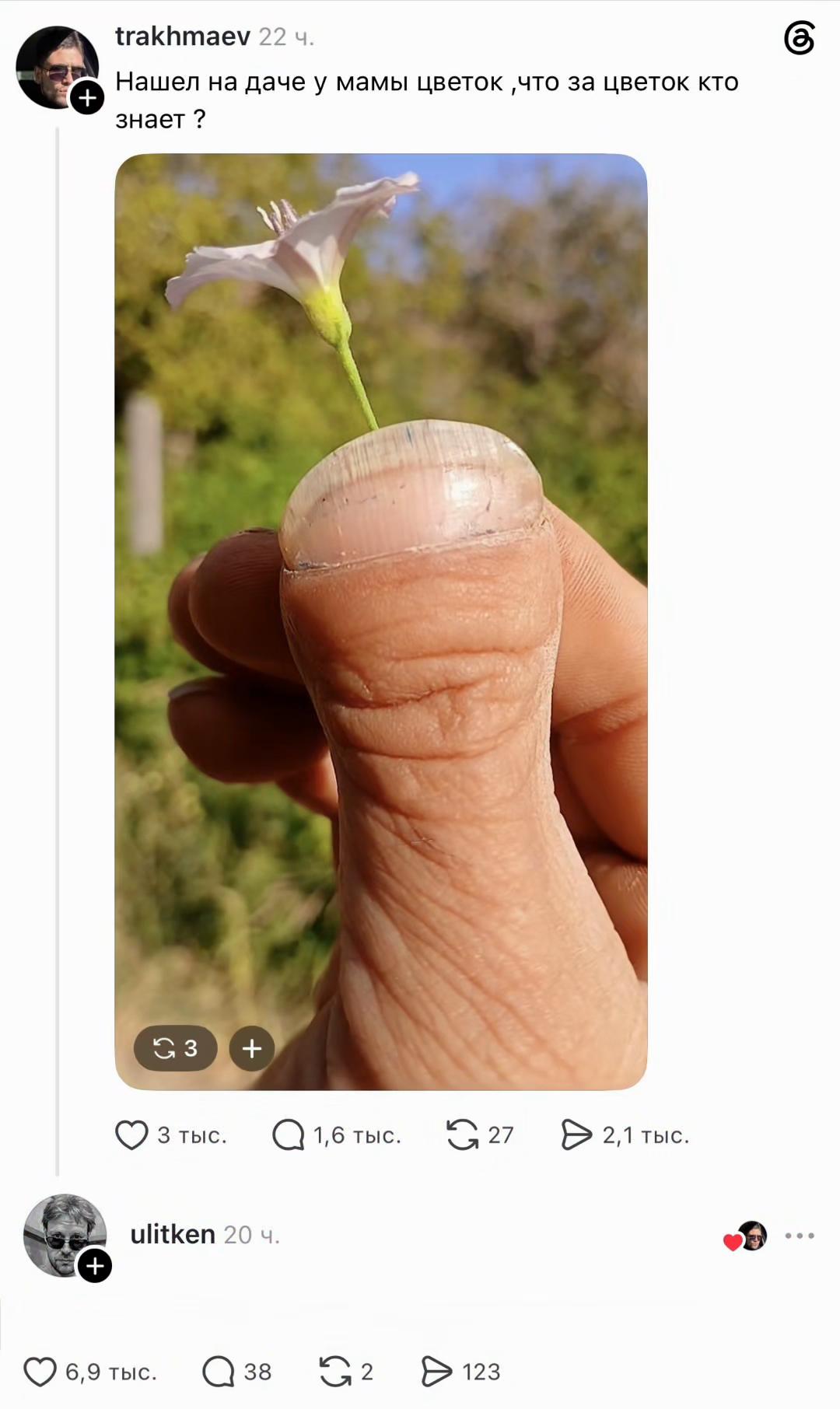 @Meme