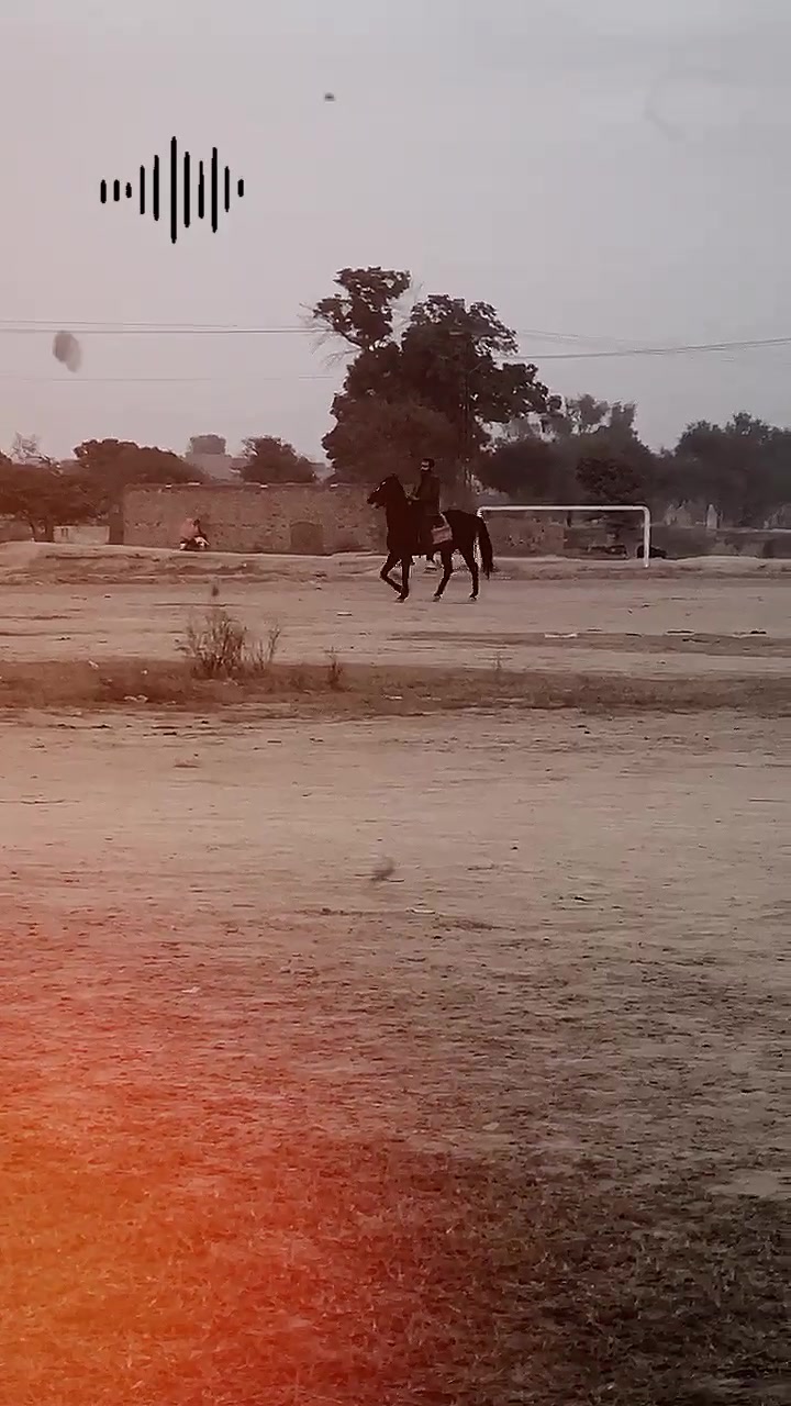 @احمد گل نمبر دار