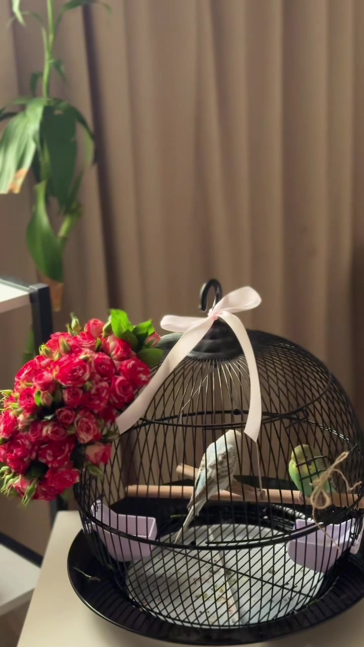 @رِ فلاورز🎀
