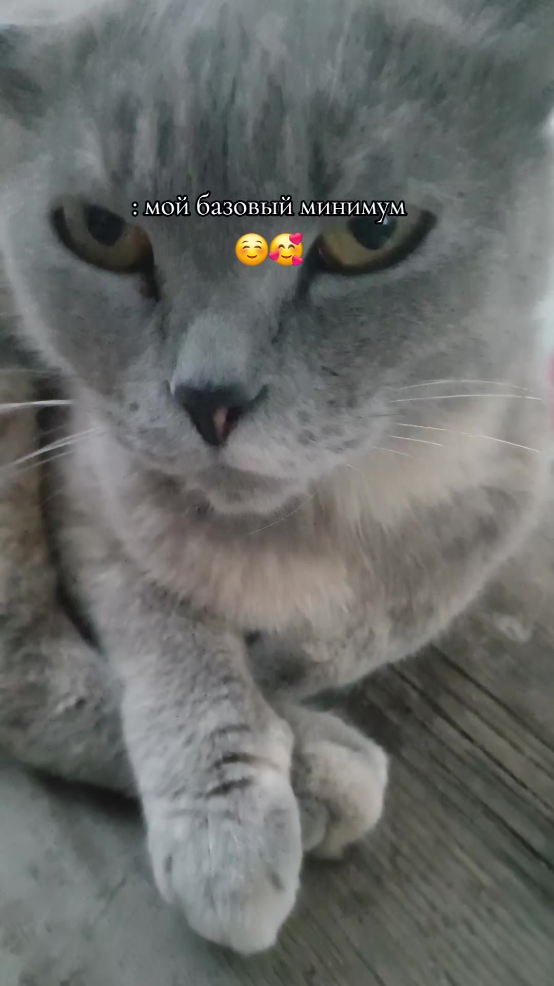 @🇰🇿🌺🌸Нᴀᴛᴀᴧья🌸Kz.16_ukg👋🤝