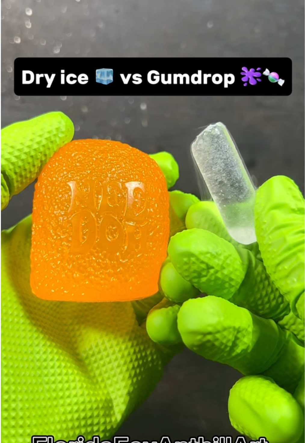 @FloridaFoxAnthillArt