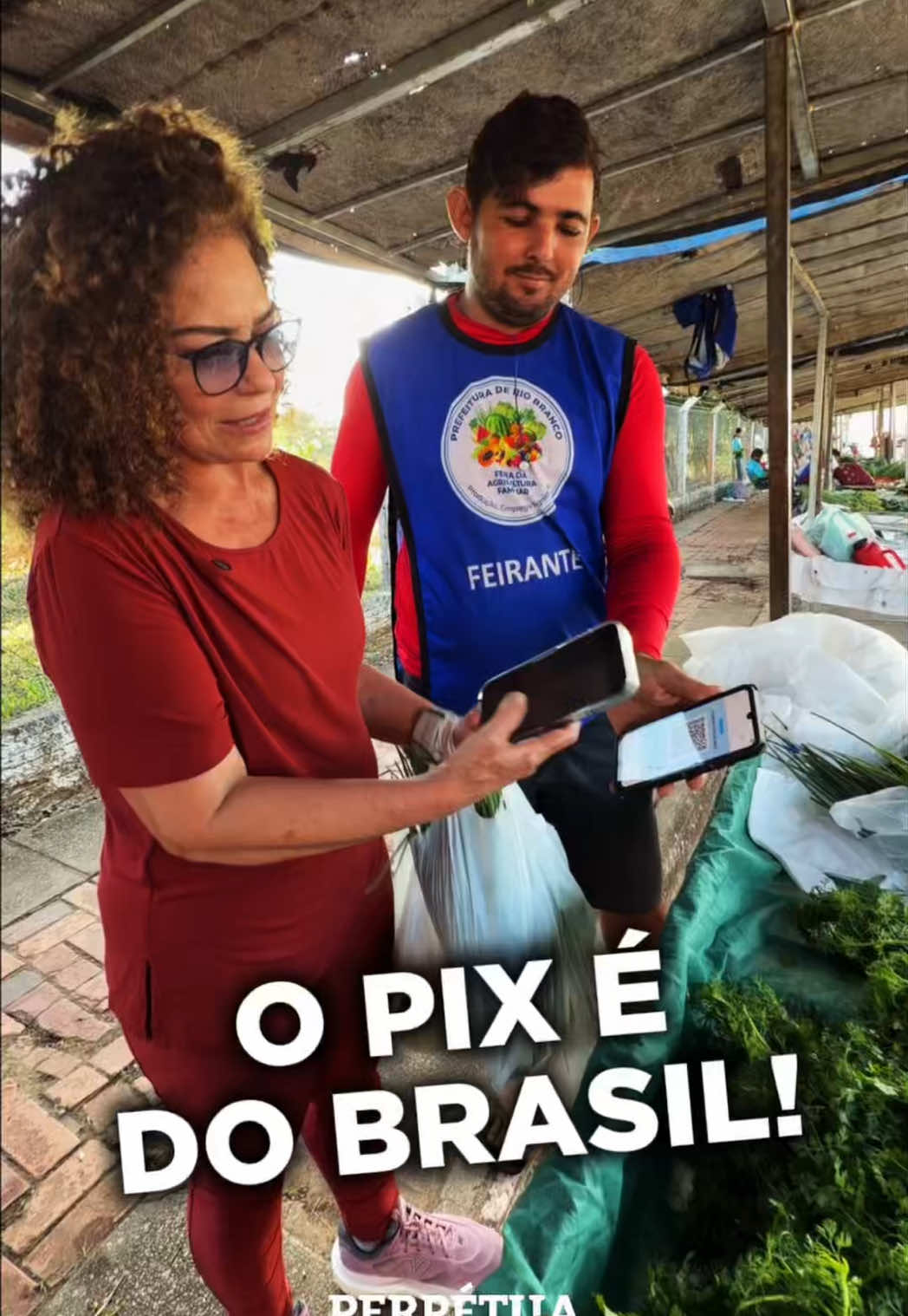 @Perpetua Almeida