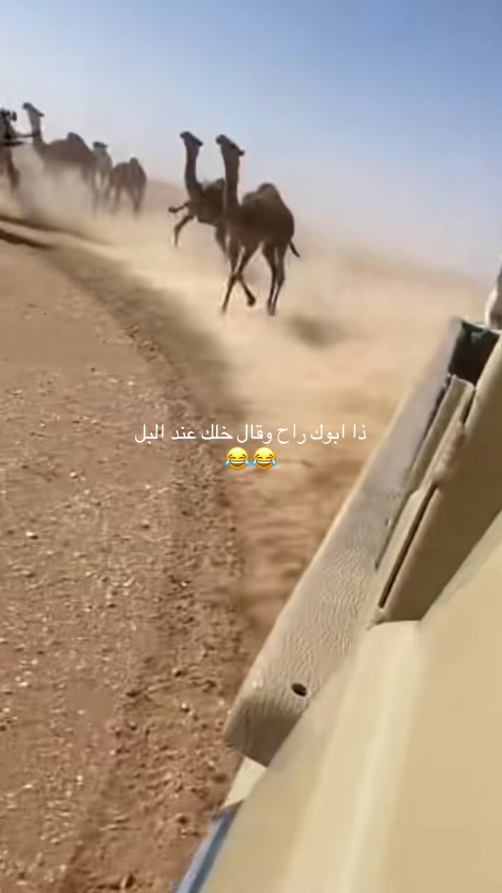 @✨[خ المطيرري]✨