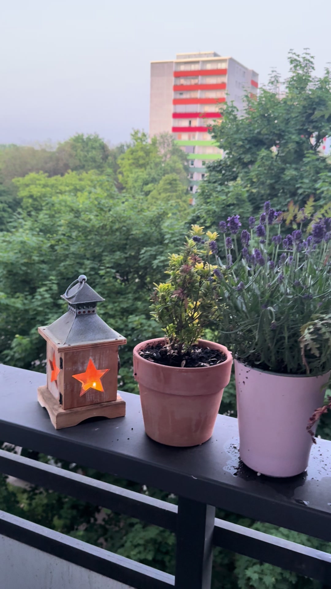 @Patzi
