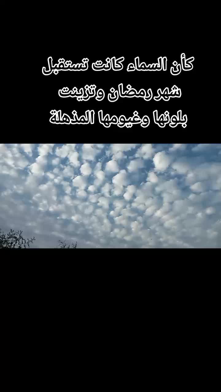 @°♡سنابل♡°