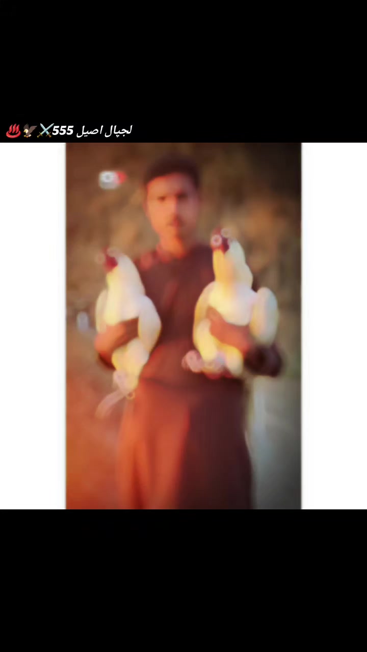 @𝒁𝒂𝒊𝒃 𝑴𝒖غ𝒉𝒂𝒍 555