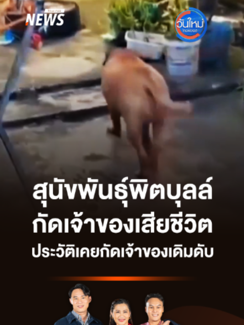 @Thai PBS news