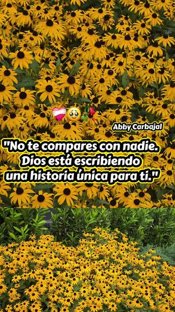 @🇭🇳Catrachita504🦋🏵