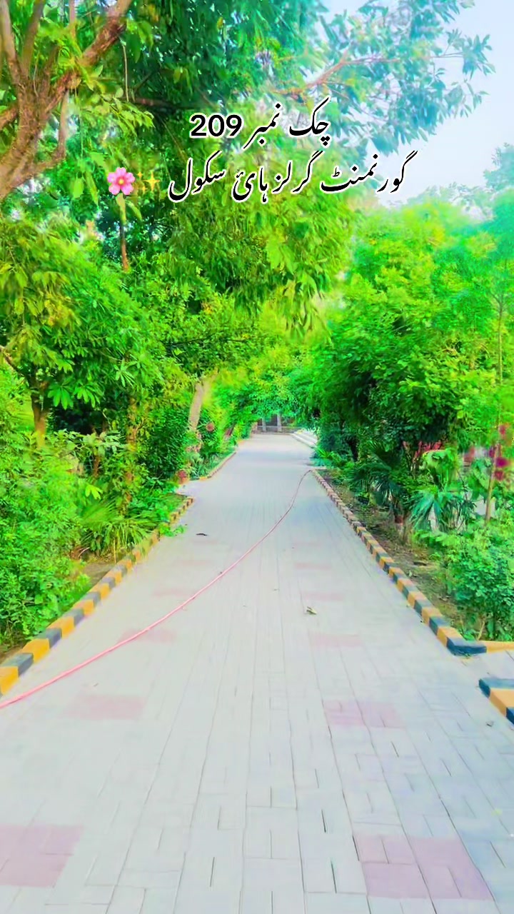 @merapind209