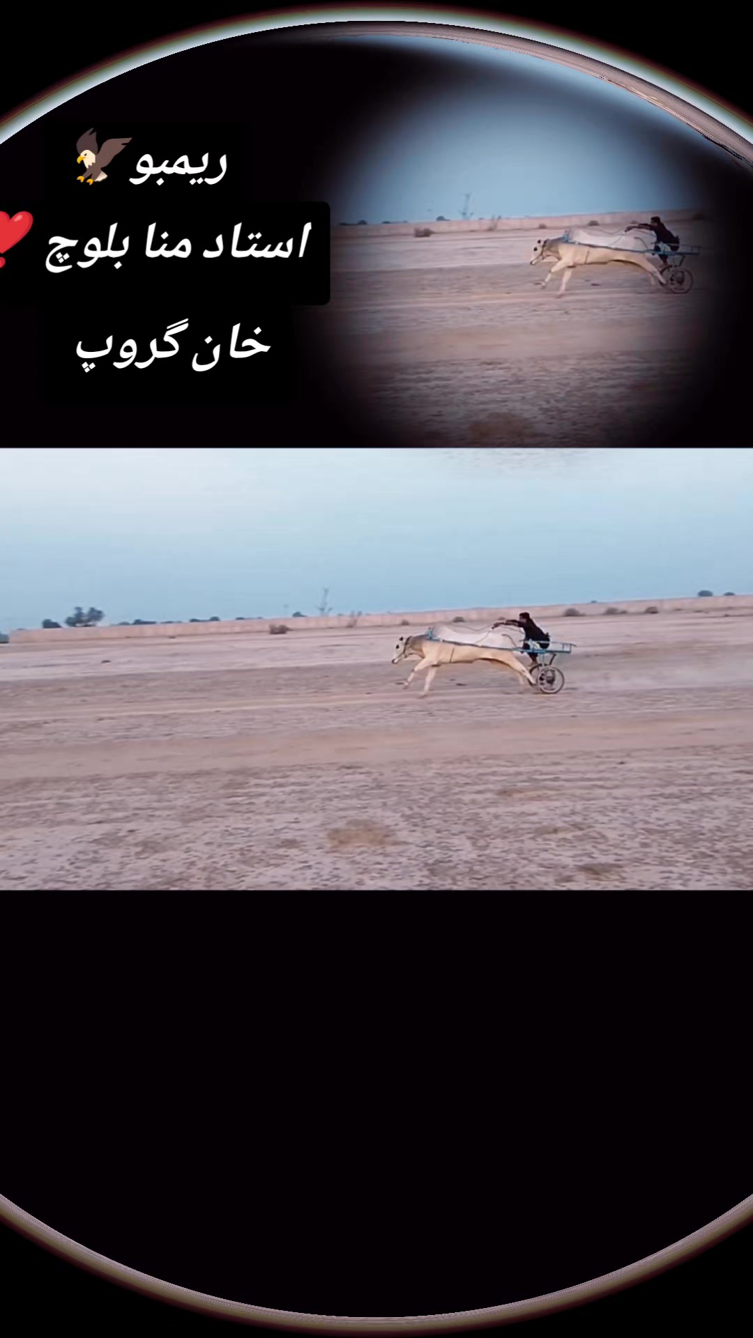 @چوہدری شاہد سلیم مڑل