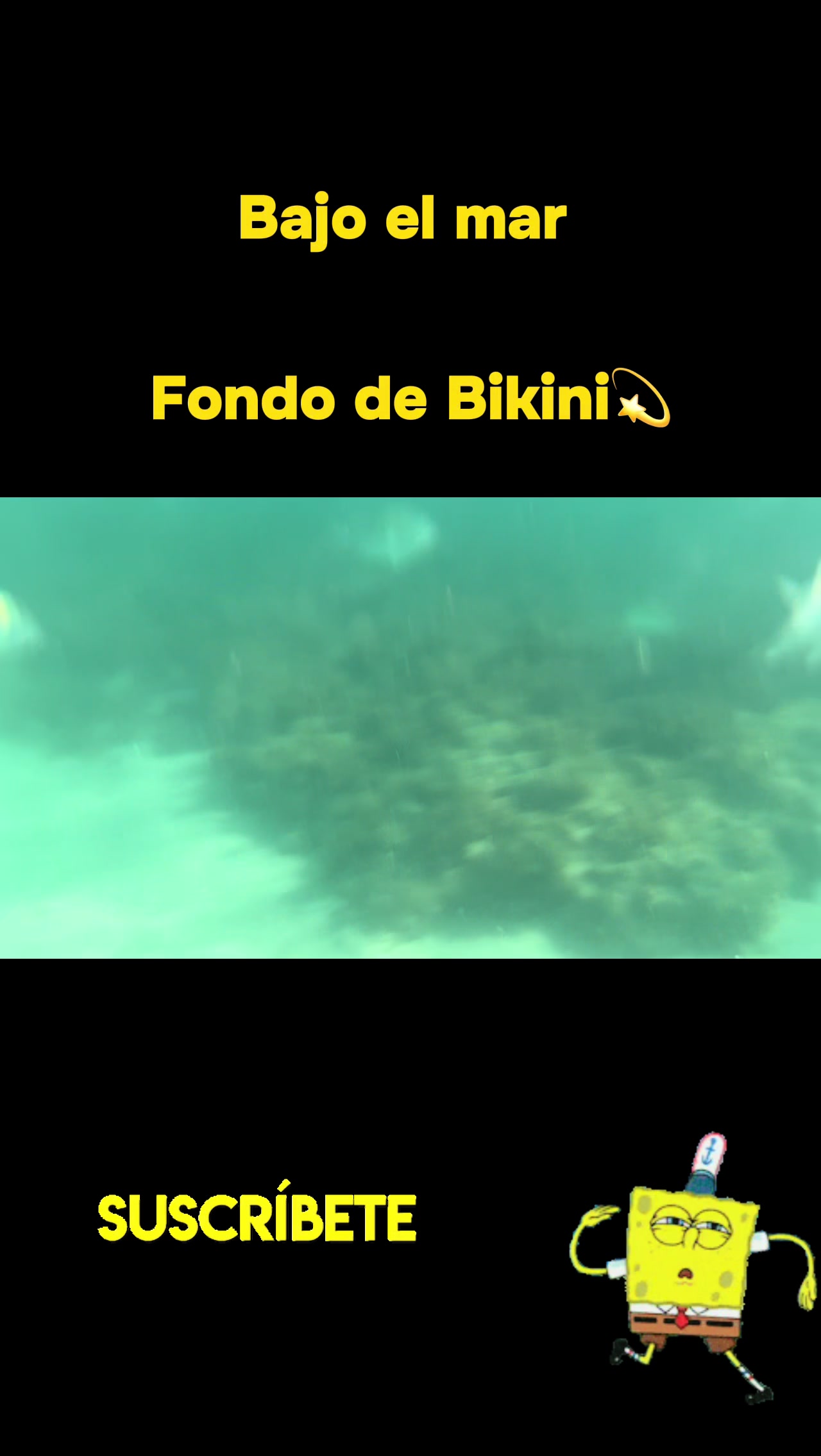 @PESCA Y NATURALEZA