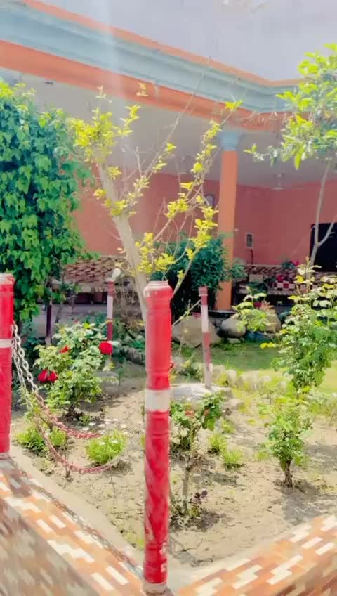 @Saboor Afridi