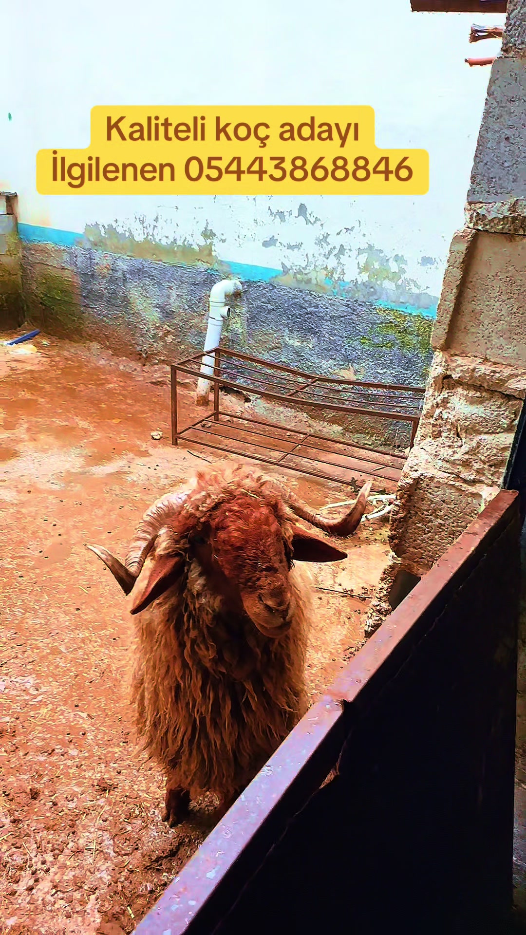 @Ömer Afşin