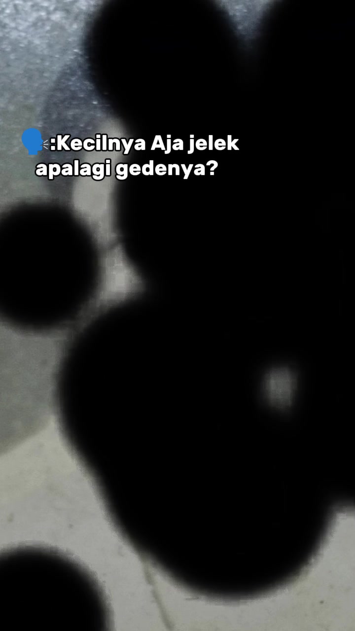 @MORGEN