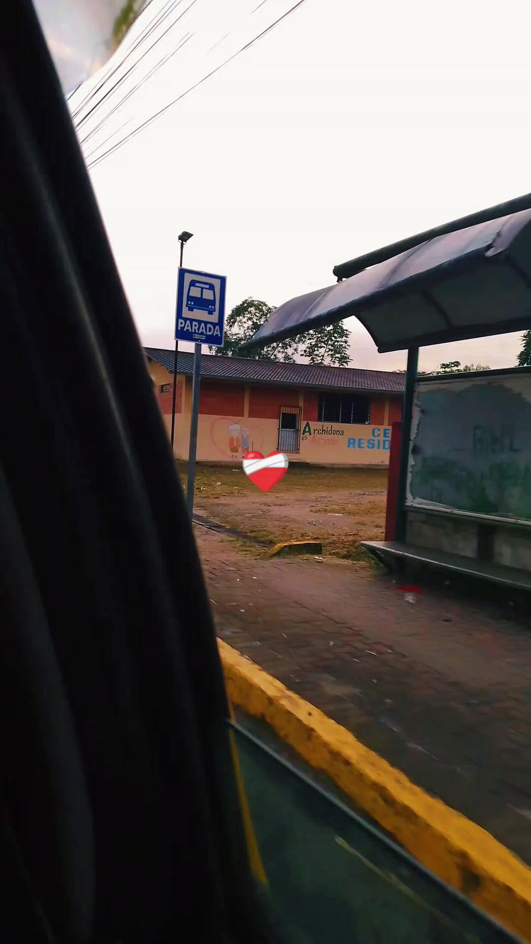 @[🍉N]Tapiz&bull;Tapiz