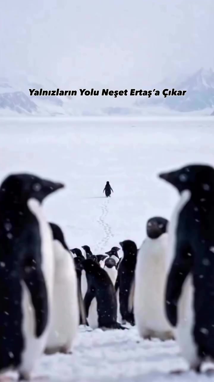 @KIRŞEHIRLİİ🇹🇷🇹🇷