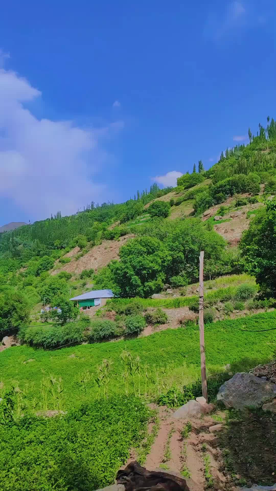 @فرید🕊️